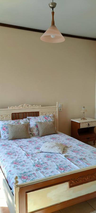 Athina'S Villa Uphill Zagora Zewnętrze zdjęcie